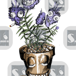 Plantas
