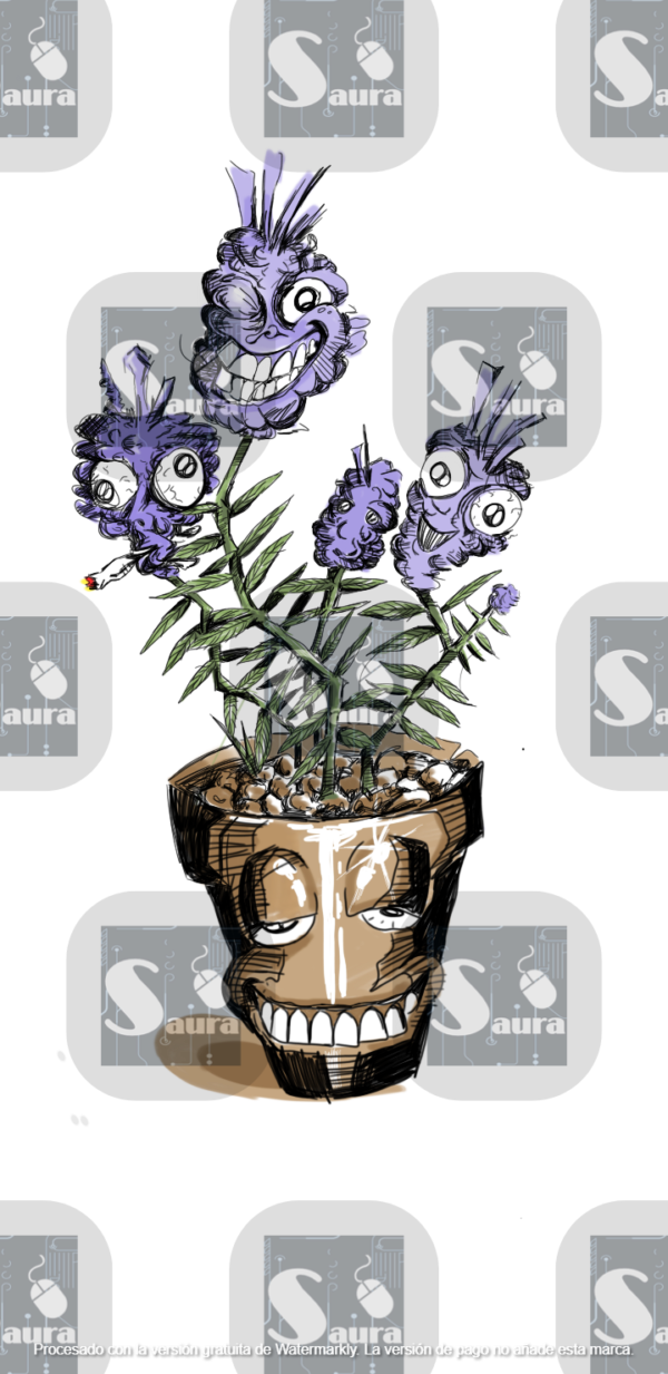 Plantas