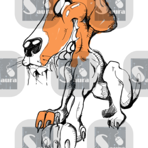 Perro