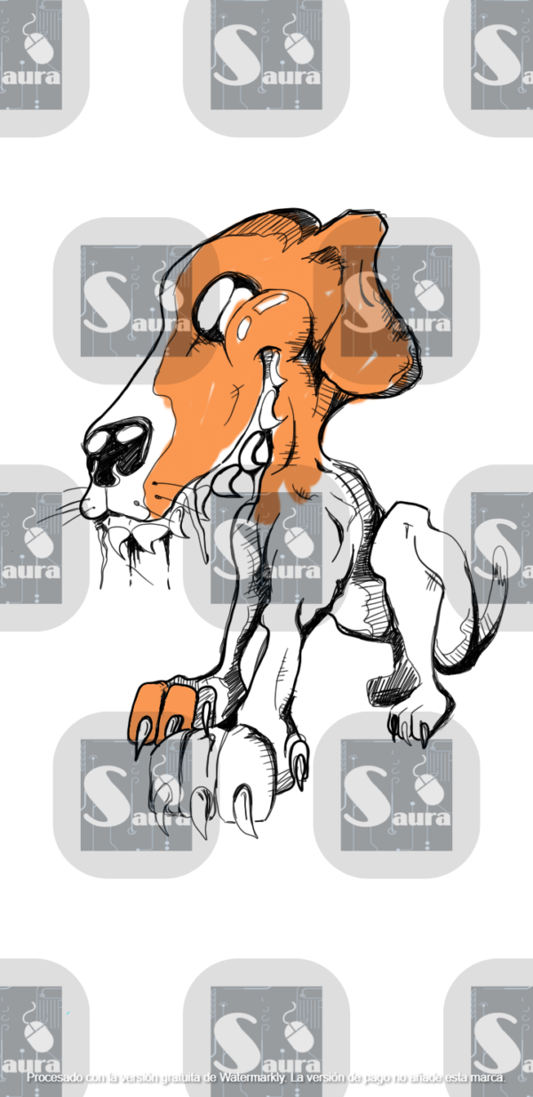 Perro